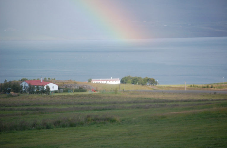 Lake Havasu City: Is he really my true Valentine? Love and PTSD.