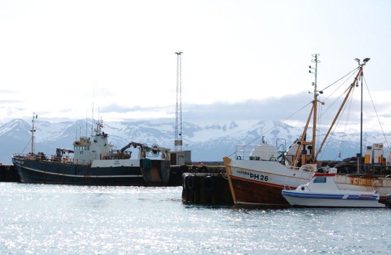 Lake Havasu City: Woman/wife/mother: PTSD + suicidal thoughts