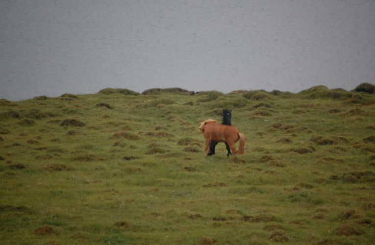 Lake Havasu City: The Battle for Harmony When Living With PTSD