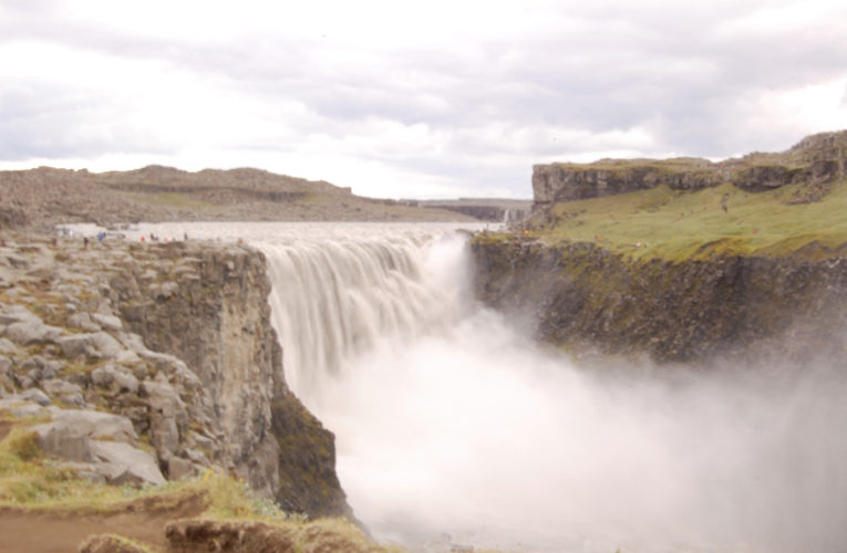 Lake Havasu City: Help! I’m a lost little amoeba in this big PTSD ecosystem