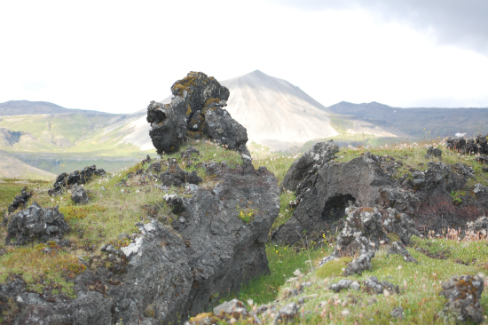 Lake Havasu City: Complications arise with a new job. Fear of oversharing when you are a PTSD survivor.